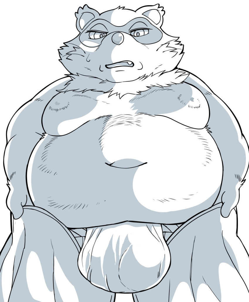 2023 anthro asian_clothing belly big_belly bulge canid canine clothing east_asian_clothing fundoshi hi_res hysk japanese_clothing kemono male mammal moobs navel nipples overweight overweight_male raccoon_dog sengoku_puzzle solo tanuki tokugawa_ieyasu underwear