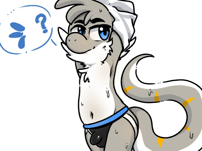 2022 4:3 after_shower anthro arms_above_head asking balls_outline biped black_clothing black_jockstrap black_underwear blue_eyes blue_seam_jockstrap blue_seam_underwear blue_speech_bubble bulge butt cheek_tuft chest_tuft clothed clothed_anthro clothed_male clothing colored_seam_jockstrap colored_seam_underwear countershade_body countershade_chest countershade_face countershade_fur countershade_neck countershade_tail countershade_torso countershading detailed_bulge digital_media_(artwork) dragon drying drying_hair eyebrows facial_tuft fur fur_markings fur_tuft furred_dragon genital_outline grey_body grey_fur grey_hair grey_nose grey_tail hair hi_res jockstrap jockstrap_only looking_at_viewer male male_anthro markings navel orange_body orange_fur orange_markings orange_stripes outline_speech_bubble partially_clothed partially_clothed_anthro partially_clothed_male penis_outline pictographics plantigrade pose question question_mark raised_arms remy_dragon simple_background smile smiling_at_viewer solo speech_bubble striped_markings striped_tail stripes tail tail_markings tight_clothing tight_jockstrap tight_underwear topless topless_anthro topless_male towel tuft underwear underwear_only water wet white_background white_body white_cheek_tuft white_chest white_chest_tuft white_countershading white_fur white_towel white_tuft wingless_dragon yosshidoragon