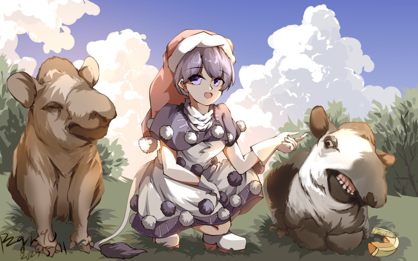 1girl absurdres baku_(creature) black_capelet blue_sky capelet chinese_commentary cloud commentary_request doremy_sweet dress full_body hat highres looking_at_viewer nightcap outdoors pom_pom_(clothes) purple_eyes purple_hair pzgr.40 red_headwear short_hair sky tail tapir tapir_tail touhou white_dress