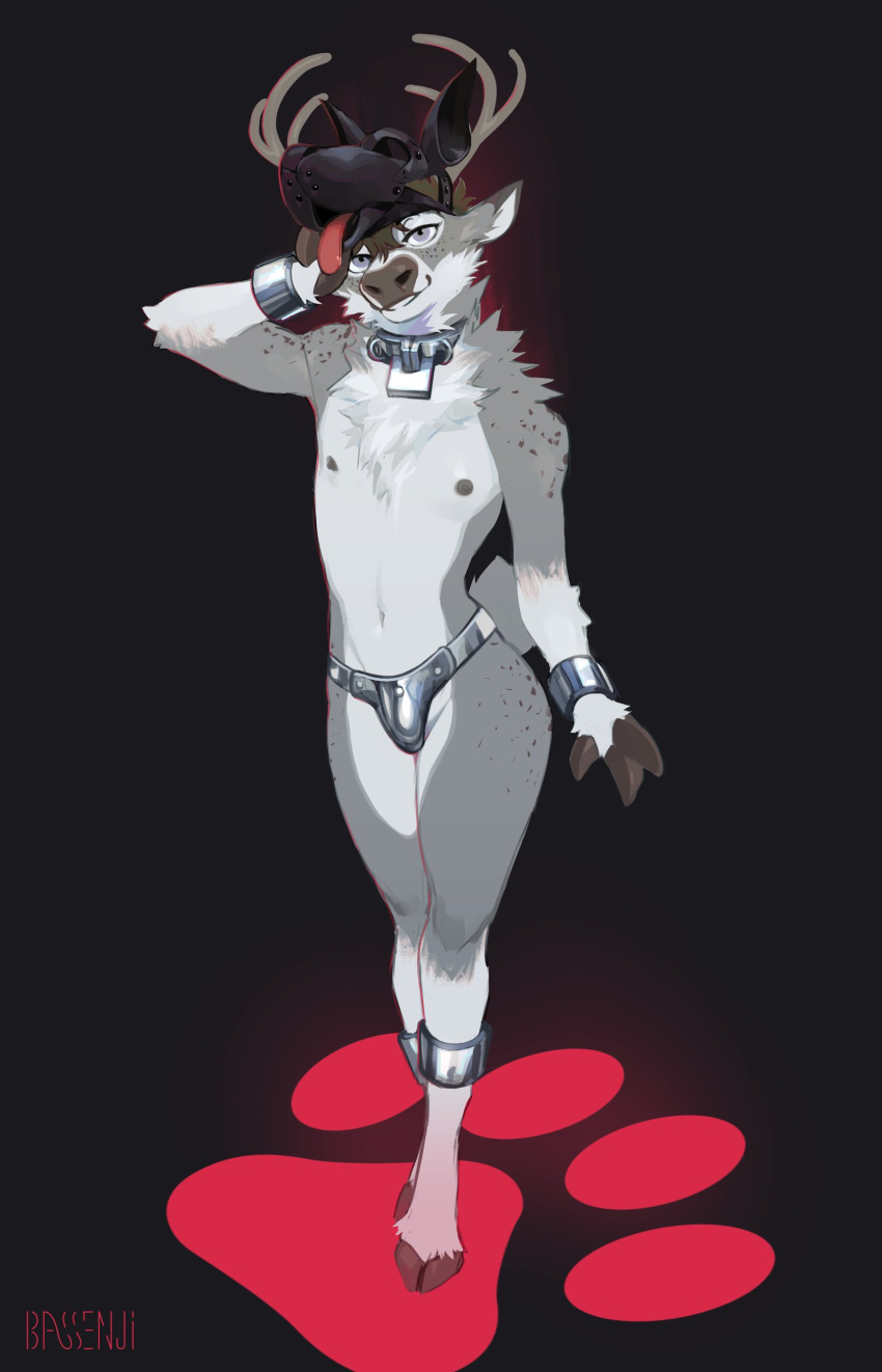2023 9:14 absurd_res animal_mask ankle_cuffs anthro antlers bassenji bdsm cake_(pointeightcake) capreoline chastity_belt chastity_device clothing cloven_hooves collar cuff_(restraint) deer digital_media_(artwork) fur glistening glistening_clothing grey_body grey_eyes grey_fur half-closed_eyes hand_on_head hi_res hooves horn lock looking_at_viewer looking_forward male mammal mask metal_chastity_belt narrowed_eyes padlock pup_mask reindeer restraints signature solo standing unguligrade white_body white_fur wrist_cuffs