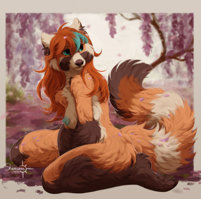 2023 ailurid anthro barefoot blue_eyes blue_nipples breasts brown_body brown_fur brown_nose brown_pawpads cheek_tuft cherry_blossom cherry_blossom_tree cherry_tree claws detailed_background digital_drawing_(artwork) digital_media_(artwork) facial_tuft feet female fluffy fluffy_tail fruit_tree fur hair hi_res inner_ear_fluff long_hair long_tail looking_away mammal multicolored_body multicolored_fur nipples nude orange_body orange_fur orange_hair pawpads paws plant red_panda sheruru sitting smile solo tail toe_claws tree tuft watermark white_body white_fur zeya_(saneaz)