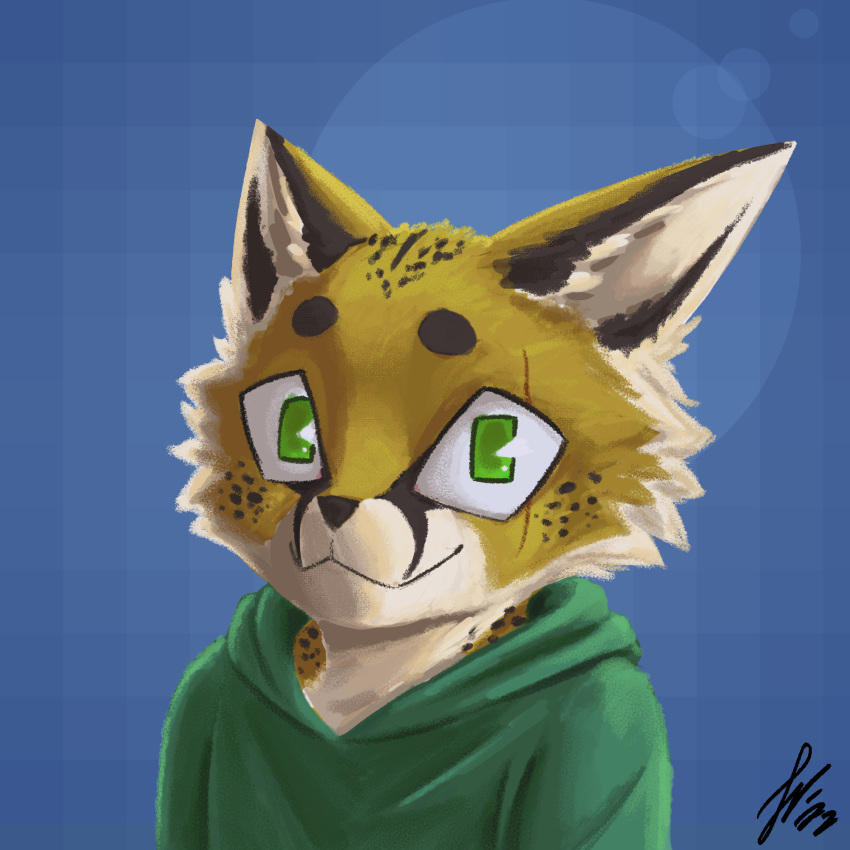 anthro cheetah/wolf clothed clothing fluffy fully_clothed green_eyes hi_res hoodie hybrid male mrpigeon mrpigeon70 ochre portrait solo topwear