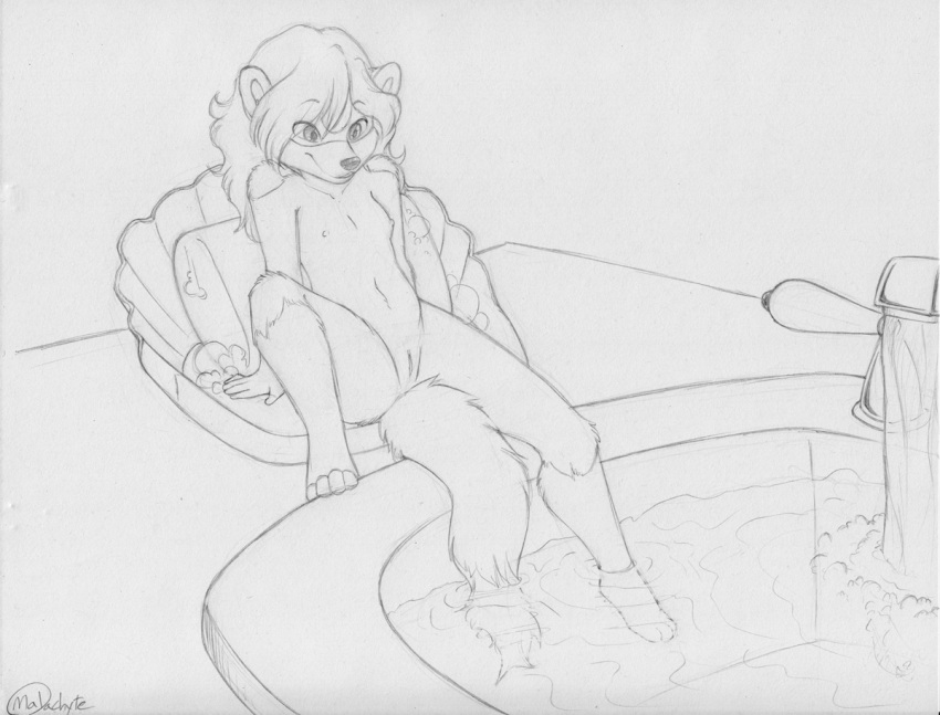 2015 anthro arm_support biped black_and_white breasts domestic_ferret eyebrows female genitals hair inside leg_in_water leg_markings long_hair malachyte mammal markings monochrome monya mustelid musteline navel nipples nude pussy round_ears sink sitting small_breasts soap soap_bubbles socks_(marking) solo true_musteline water weasel