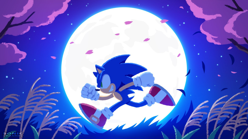 1boy animal_ears animal_nose arms_up blue_fur blue_sky branch full_moon furry furry_male gloves gold_trim grass green_eyes hedgehog hedgehog_ears hedgehog_tail highres leaf looking_to_the_side male_focus moon night night_sky official_art outdoors red_footwear running shoes sky smile sneakers socks solo sonic_(series) sonic_the_hedgehog star_(sky) starry_sky tail teeth tree uno_yuuji white_gloves white_socks