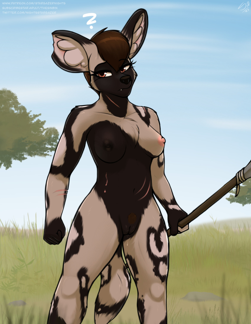 african_wild_dog anthro big_ears black_body black_fur breasts brown_hair canid canine crossgender female front_view fur genitals hair hi_res inner_ear_fluff kee'lo mammal melee_weapon mtf_crossgender nipples notched_ear nude polearm pussy savanna scar solo spear standing stargazer tan_body tan_fur tuft weapon