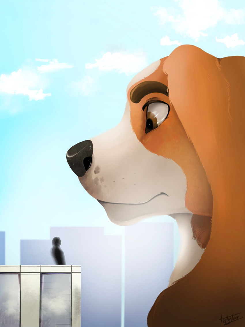 anthro artist_name basset_hound black_nose brown_eyebrows brown_eyes building canid canine canis city city_background cloud colored day detailed_background digital_drawing_(artwork) digital_media_(artwork) domestic_dog duo eduk_(taylornoir) eyebrows floppy_ears foxhound fur headshot_portrait hi_res human hunting_dog larger_anthro larger_male looking_down looming macro male mammal micro orange_body orange_fur outside portrait scent_hound signature size_difference sky skyline skyscraper smaller_human taylornoir white_body white_fur