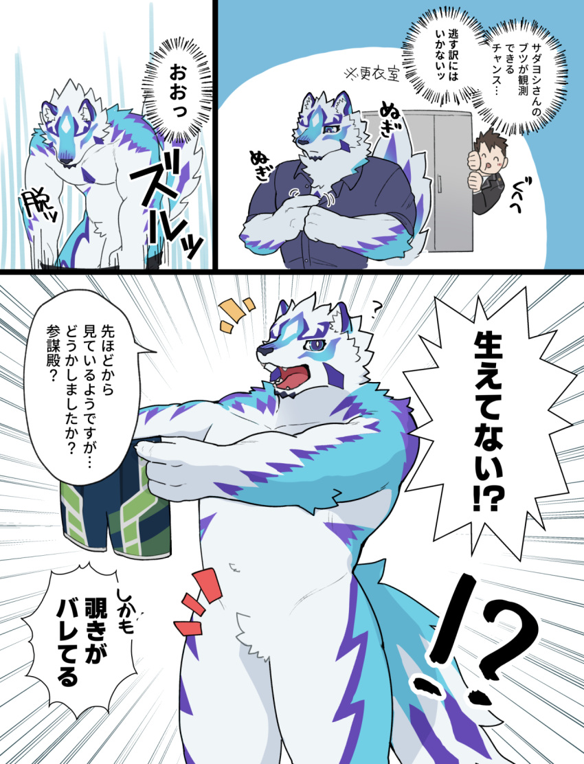 7575el anthro blue_body blue_fur canid canine canis clothing comic crotch_tuft duo featureless_crotch fur hi_res human japanese_text lifewonders live_a_hero male male_operator mammal nude null pecs purple_body purple_clothing purple_fur purple_shirt purple_topwear sadayoshi shirt soft_belly swimming_trunks swimwear text topwear tuft undressing_self white_body white_fur wolf