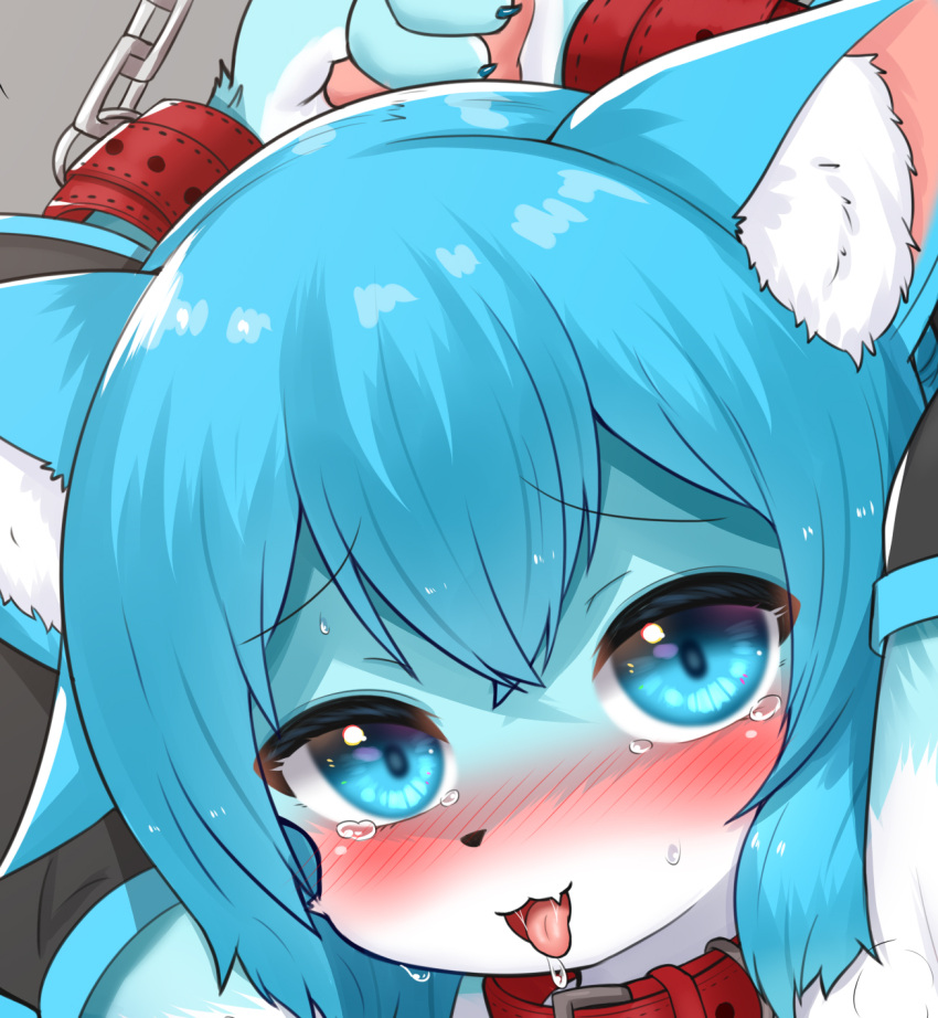 2023 alternate_species anthro bdsm blush collar cropped cuff_(restraint) digital_media_(artwork) domestic_cat felid feline felis female female_anthro fur furrification hair hatsune_miku hi_res horokusa0519 kemono looking_at_viewer mammal naughty_face restrained restraints solo tongue tongue_out twintails_(hairstyle) vocaloid