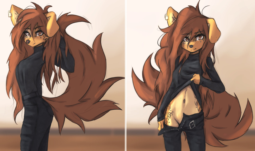 2023 absurd_res anthro apogee_(tinygaypirate) breasts canid canine canis clothed clothing clothing_lift digital_media_(artwork) domestic_dog female female_anthro floppy_ears fur hair hi_res kemono long_hair looking_at_viewer mammal multiple_images navel no_underwear piercing small_breasts solo spitz tail tattoo tinygaypirate unzipped unzipped_pants zipper