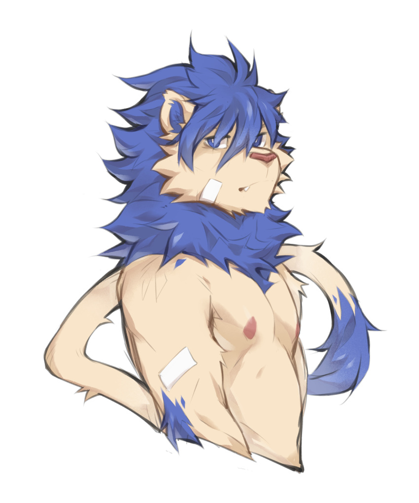 anthro blue_eyes blue_hair felid flunky fur hair hi_res lion looking_at_viewer male mammal nipples pantherine simple_background solo tail yellow_body yellow_fur