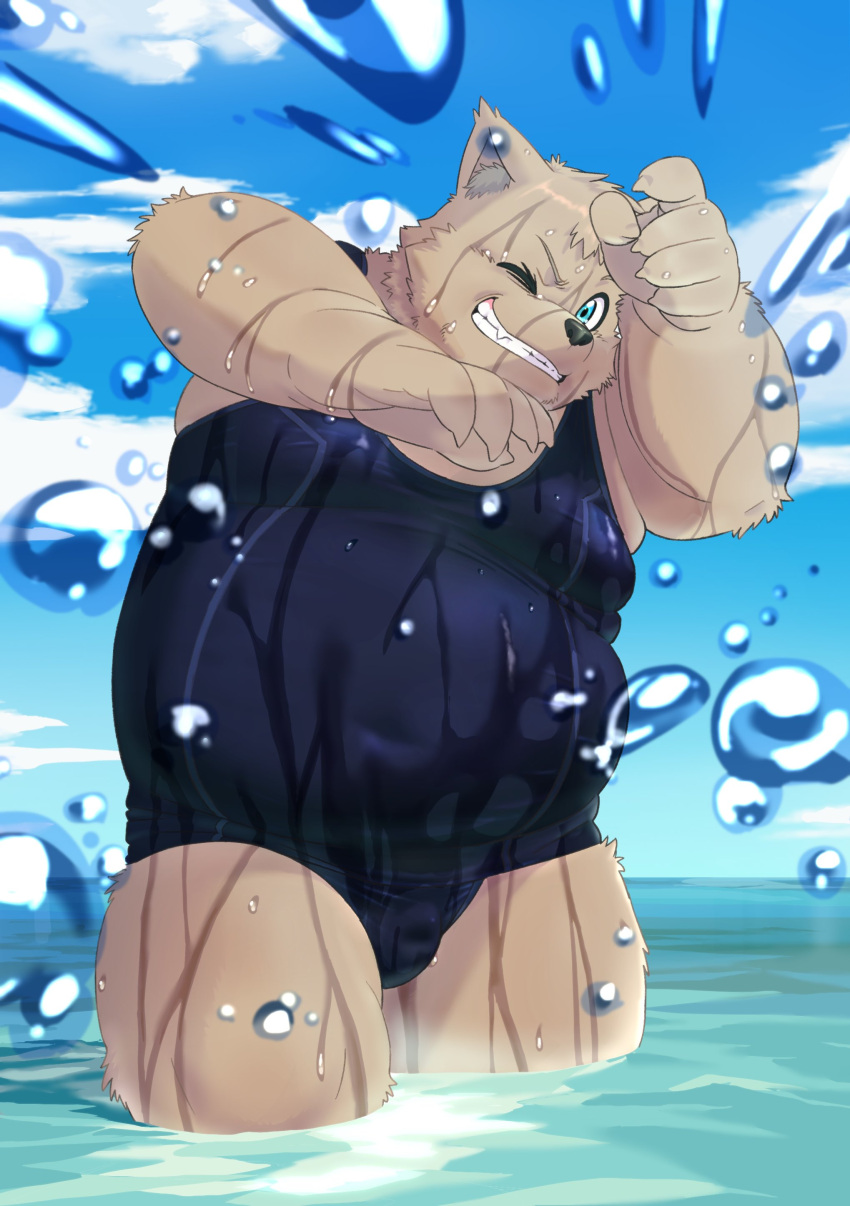 absurd_res anthro belly blue_eyes brown_body brown_fur bulge clothing domestic_cat felid feline felis fur grin hi_res male mammal overweight partially_submerged school_swimsuit smile solo splash swimwear vtuber water water_fight