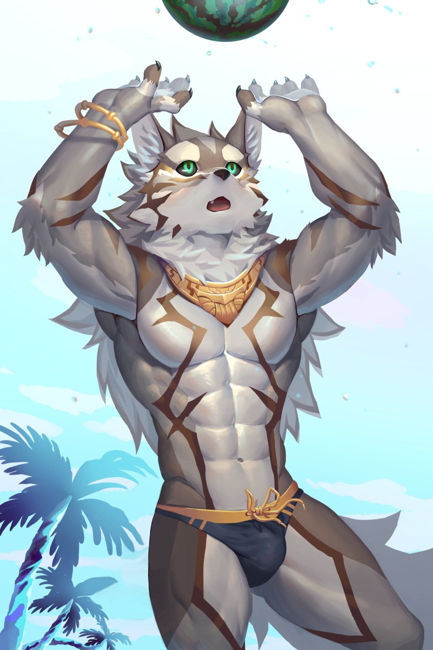 2:3 5_fingers abs absurd_res anthro beach bracelet briefs bulge canid canine canis claws clothing countershading fingers food fruit green_eyes hair hi_res jackal jewelry lifewonders long_hair male mammal mane mane_hair melon muscular muscular_anthro muscular_male navel open_mouth palm_tree pecs plant seaside seth_(tas) solo speedo sport standing swimwear tokyo_afterschool_summoners tree ty_arashi underwear volleyball watermelon