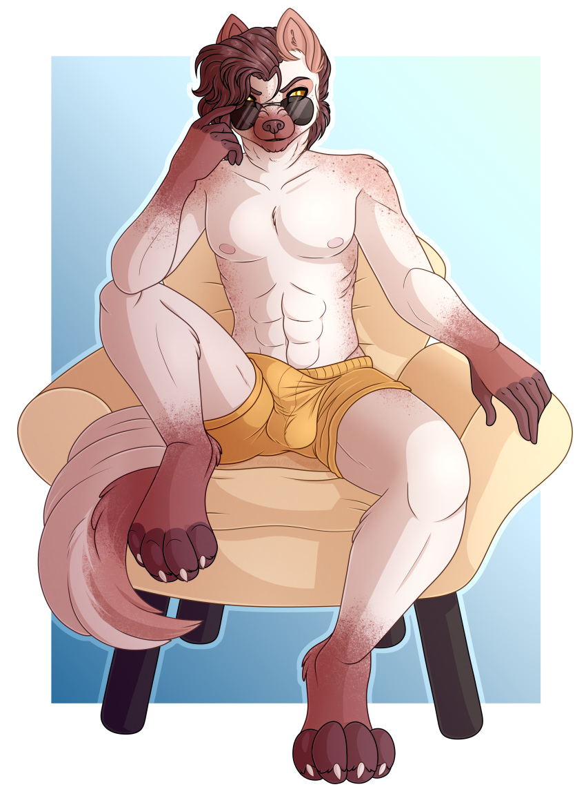 abs absurd_res alpha_channel anthro australian_cattle_dog boxers_(clothing) brown_hair bulge canid canine canis cattledog chair clothing collarmecandy cooper_(collarmecandy) domestic_dog eyewear furniture hair herding_dog hi_res hybrid male mammal mixed_breed muscular muscular_male on_chair pastoral_dog pinup pose seductive sitting sitting_on_chair solo sunglasses tan_body underwear wearing_sunglasses wolf wolfdog yellow_eyes