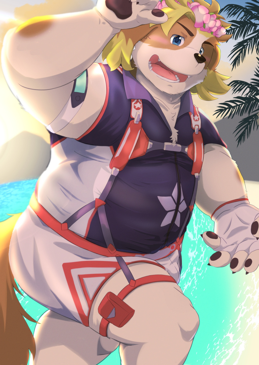 absurd_res anthro beach blonde_hair blue_eyes blush canid canine canis domestic_dog flower flower_accessory flower_crown hair harness hi_res hisaki_(live_a_hero) lei lifewonders live_a_hero male mammal nazebesu_hobby pawpads plant seaside slightly_chubby solo sunset wetsuit