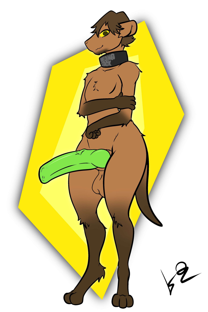 absurd_res anthro big_penis collar genitals green_penis hair hi_res huge_penis kennedy_oz lexxa_(killsode) looking_at_viewer male mammal marsupial penis solo the_nature_of_predators yellow_eyes yotul_(the_nature_of_predators)