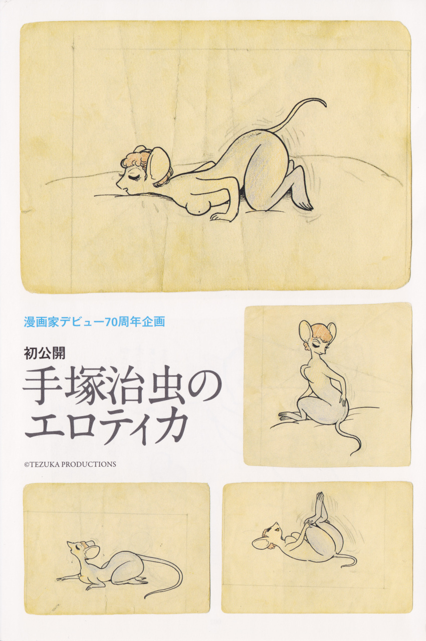 20th_century absurd_res ancient_art anthro breasts butt eyelashes female fluffy fluffy_hair hair hi_res japanese_text mammal mouse murid murine nameless_mouse_(tezuka) nude osamu_tezuka osamu_tezuka_(artist) rodent short_hair smile solo tail text traditional_media_(artwork)