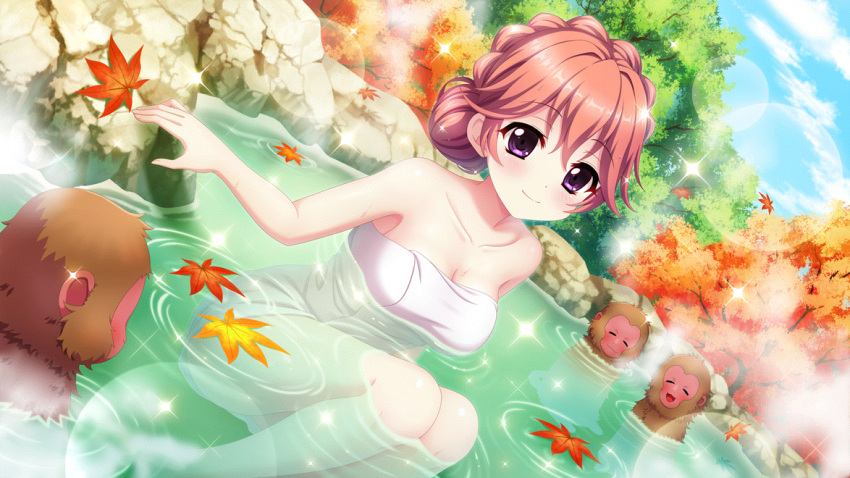 1girl autumn_leaves blue_sky braid breasts cleavage closed_eyes closed_mouth cloud collarbone crown_braid day dot_nose dutch_angle film_grain game_cg haeno_akari hair_bun hair_up izumi_tsubasu large_breasts lens_flare monkey naked_towel non-web_source official_art onsen open_mouth orange_hair outdoors partially_submerged purple_eyes re:stage! rock sitting sky smile solo sparkle towel tree white_towel