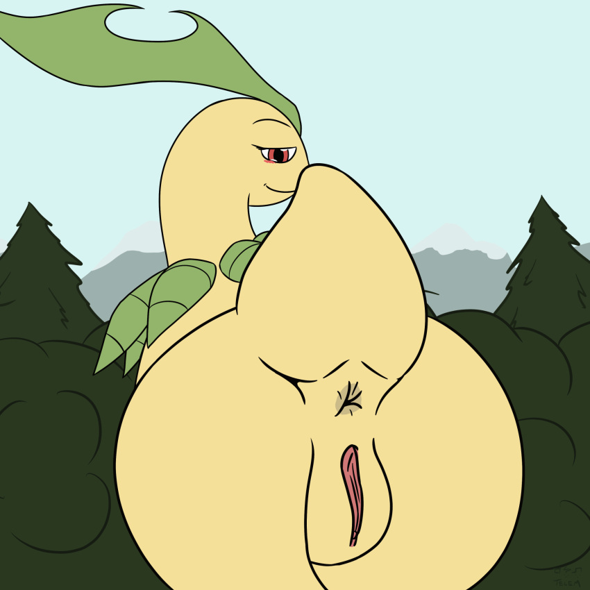 1:1 2023 animated anus bayleef blinking blue_sky butt clitoral_hood clitoris colored deciduous_trees digital_drawing_(artwork) digital_media_(artwork) elemental_creature evergreen_tree female feral flora_fauna forest forest_background frame_by_frame generation_2_pokemon genitals green_leaves hi_res leaf leaf_hair long_neck looking_at_viewer looking_back looking_back_at_viewer mountain mountain_range nature nature_background nintendo non-mammal_pussy plant plant_hair pokemon pokemon_(species) presenting presenting_anus presenting_hindquarters presenting_pussy pseudo_hair pussy quadruped red_eyes reptile rock scales scalie shaking shaking_butt sky snow solo telem tree wiggle yellow_body yellow_butt yellow_neck yellow_scales