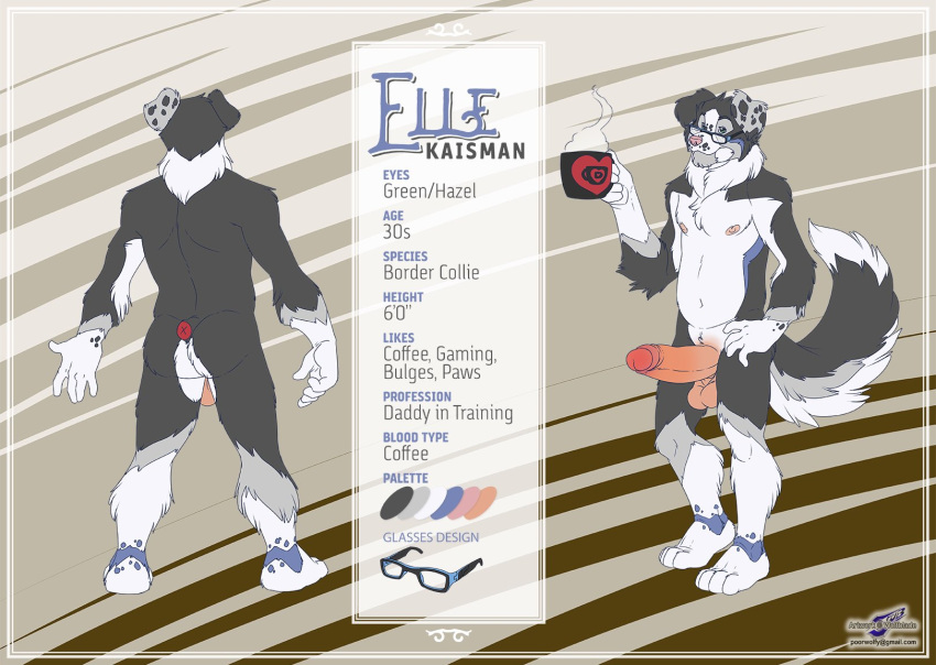 anthro balls biography border_collie canid canine canis coffee_cup collie container cup domestic_dog elle_(elazul) erection foreskin genitals herding_dog hi_res male mammal model_sheet nipples nude pastoral_dog penis pink_nipples plantigrade sheepdog solo wolfblade