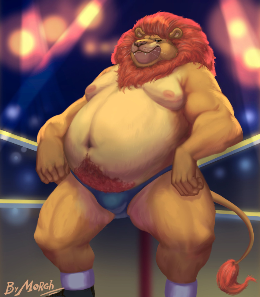 2023 absurd_res anthro belly big_belly clothing felid fighting_ring hi_res humanoid_hands lion male mammal moobs navel nipples overweight overweight_male pantherine solo themorghull underwear