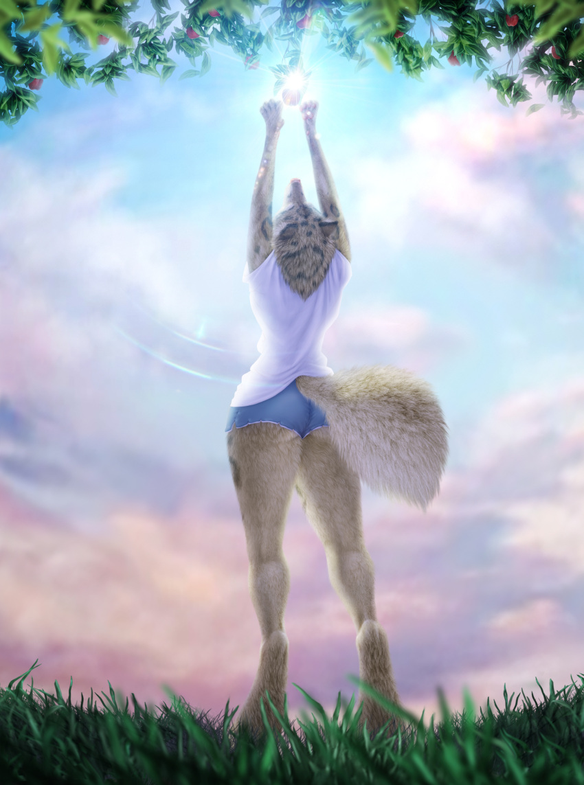 absurd_res anthro arctic_wolf athletic athletic_anthro athletic_female big_butt blue_clothing bottomwear breasts butt canid canine canis clothed clothing cloud clouded_leopard cloudscape felid female fluffy fluffy_tail fur fur_markings grass hi_res jocarra low-angle_view mammal markings nilo_(cardinilo) pantherine pawpads paws plant rear_view shirt shorts sky small_breasts solo stretching sun t-shirt tail tan_body tan_fur tan_nose tan_pawpads thick_thighs topwear white_body white_clothing white_fur wolf worm's-eye_view