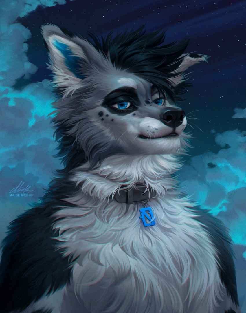 anthro artist_name black_body black_fur black_hair black_nose blue_eyes blue_inner_ear_fluff bust_portrait canid canine canis domestic_dog eyelashes fur glistening glistening_eyes grey_body grey_fur hair hi_res inner_ear_fluff male mammal marie_merkh mouth_closed narrowed_eyes nude portrait short_hair signature solo tuft whiskers white_body white_fur