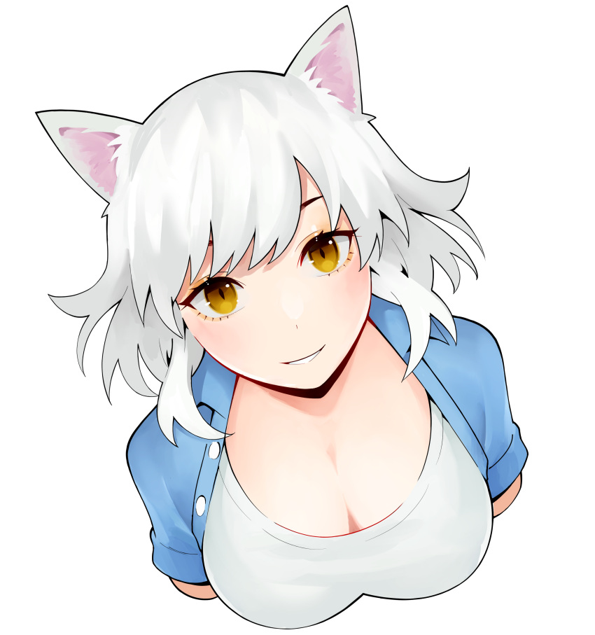 1girl absurdres animal_ear_fluff animal_ears bangs black_hanekawa blue_shirt blush bob_cut breasts cat_ears cleavage commentary cropped_arms cropped_torso eyelashes flipped_hair from_above hanekawa_tsubasa highres large_breasts light_blush looking_up messy_hair monogatari_(series) nekomonogatari nekomonogatari_white open_clothes open_shirt overshirt parted_lips piancaesar romaji_commentary scoop_neck shirt short_hair short_sleeves simple_background slit_pupils smile swept_bangs white_background white_hair white_shirt yellow_eyes