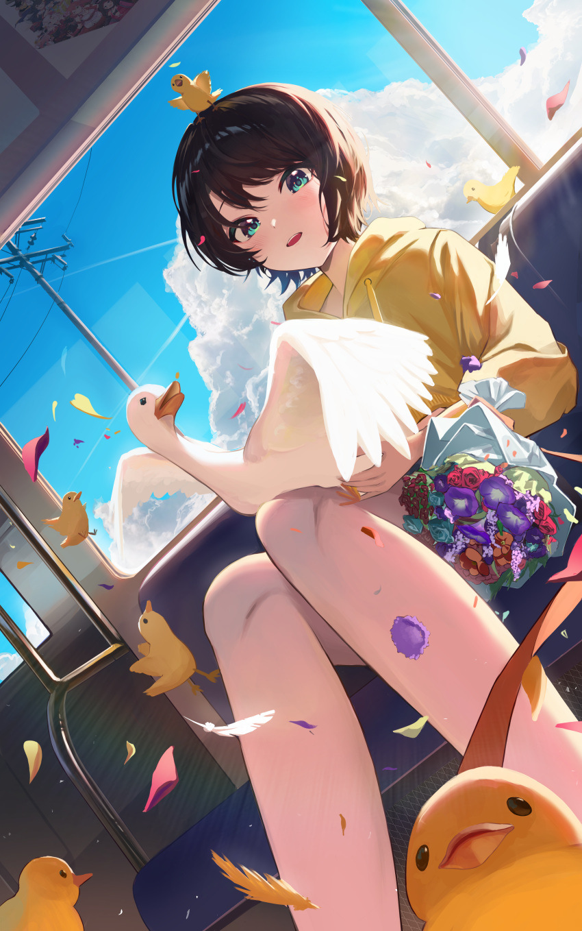 1girl absurdres animal_on_lap aqua_eyes bare_legs bird bouquet brown_hair clrawing duck duckling feathers highres hololive hood hoodie indoors looking_at_viewer on_lap oozora_subaru open_mouth petals short_hair sitting sky smile subaru_duck swept_bangs train_interior virtual_youtuber window