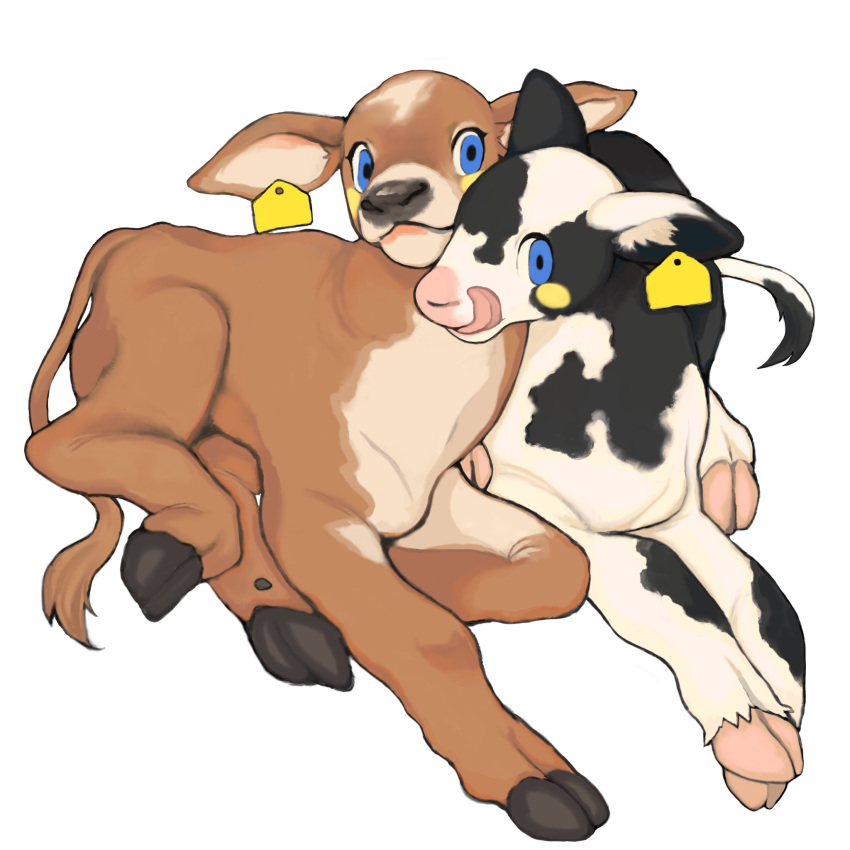 ambiguous_gender bovid bovine cattle dayohiko dewclaw_hooves duo ear_tag feral hi_res holstein_friesian_cattle hooves licking licking_lips mammal tongue tongue_out
