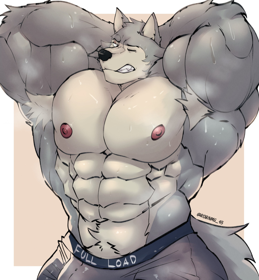 abs absurd_res anthro armpit_hair beastars biceps big_biceps big_bulge big_muscles bodily_fluids body_hair bulge canid canine canis clothed clothing digital_drawing_(artwork) digital_media_(artwork) flexing fur grey_body grey_fur hair hi_res huge_biceps huge_bulge huge_deltoids huge_muscles huge_pecs huge_triceps hyper hyper_muscles legoshi_(beastars) looking_at_viewer male mammal manly muscular muscular_anthro muscular_male nipples pecs robinmg_45 simple_background solo standing steam steamy_armpit sweat sweatdrop underwear wolf