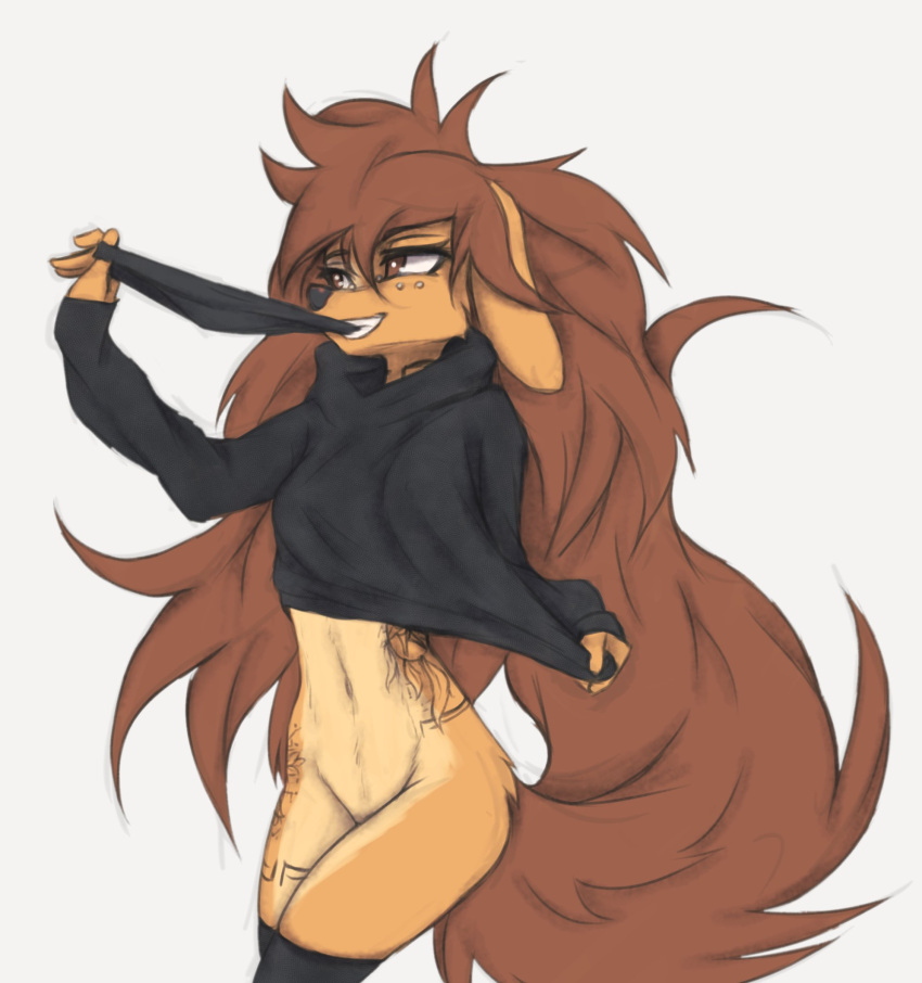 2023 anthro apogee_(tinygaypirate) bottomless breasts canid canine canis clothed clothing cropped_hoodie digital_media_(artwork) domestic_dog female female_anthro floppy_ears fur hair hi_res holding_object kemono legwear long_hair mammal navel piercing small_breasts solo spitz tattoo tinygaypirate underwear_in_mouth