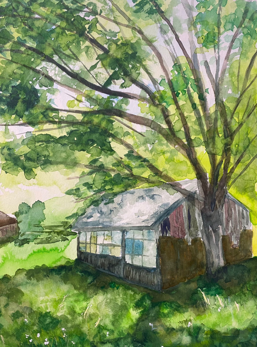 building bush day grass highres no_humans original painting_(medium) plant sakaue111 shed sunlight traditional_media tree watercolor_(medium) window