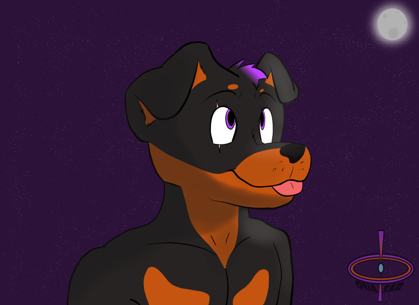 absurd_res anthro black_body black_fur canid canine canis digital_drawing_(artwork) digital_media_(artwork) domestic_dog fur hi_res male mammal mastiff molosser moon purple_eyes quasar_(artist) rory_(disambiguation) rottweiler shaded solo star tongue tongue_out