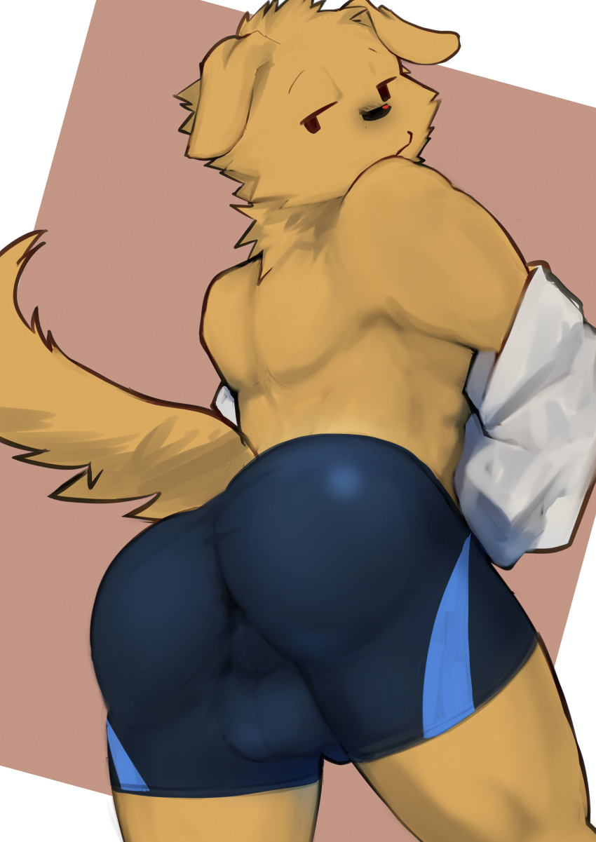 2023 absurd_res anthro anus_outline asleepchef balls_outline bottomwear butt canid canine canis clothing domestic_dog fur genital_outline hi_res looking_back male mammal shorts solo tail undressing yellow_body yellow_fur