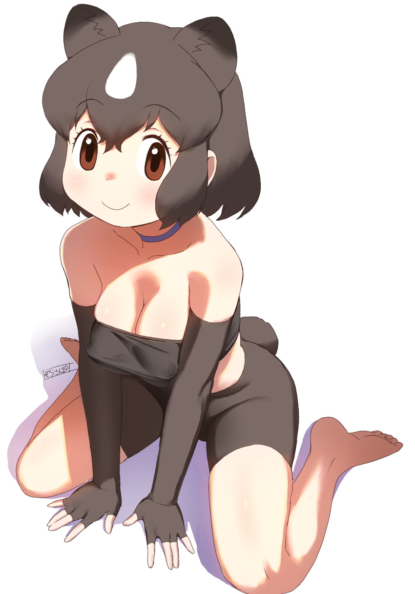 1girl animal_ears bear_ears bear_girl bear_tail bike_shorts black_hair blush breasts brown_bear_(kemono_friends) cleavage elbow_gloves gloves highres kemono_friends kemono_friends_3 large_breasts looking_at_viewer masuyama_ryou multicolored_hair short_hair smile tail tank_top