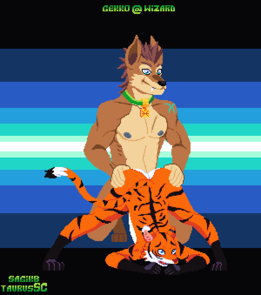 anal anal_penetration animated anthro black_stripes blue_eyes butt butt_grab cain_the_dingo canid canine canis collar dingo dominant duo felid felix_grey fur gekkowizard green_collar hand_on_butt hi_res male male/male mammal muscular muscular_anthro muscular_male orange_body orange_fur pantherine penetration sagikb shaded simple_shading spread_legs spreading striped_body stripes thrusting tiger yoga