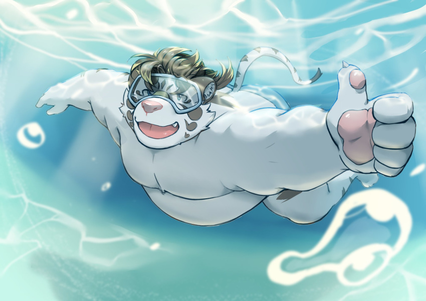 2023 anthro bawp belly clothing detailed_background felid hi_res humanoid_hands kemono licho_(tas) lifewonders male mammal moobs overweight overweight_male pantherine solo swimwear tiger tokyo_afterschool_summoners underwater water white_body