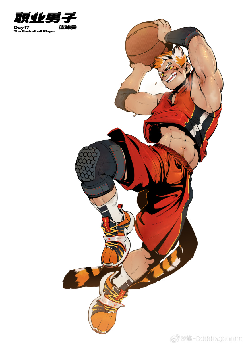 1boy absurdres animal_ears animal_print armpit_hair armpits arms_up ball bara basket basketball_(object) basketball_uniform bulge clothes_lift dragonpie full_body grin highres holding holding_basket knee_pads large_pectorals male_focus mature_male midriff_peek muscular muscular_male navel_hair nipple_slip nipples orange_hair original pectorals red_shorts shirt_lift short_hair shorts sidepec smile solo sportswear sweat tail thick_eyebrows tiger_boy tiger_ears tiger_print tiger_tail very_sweaty white_background