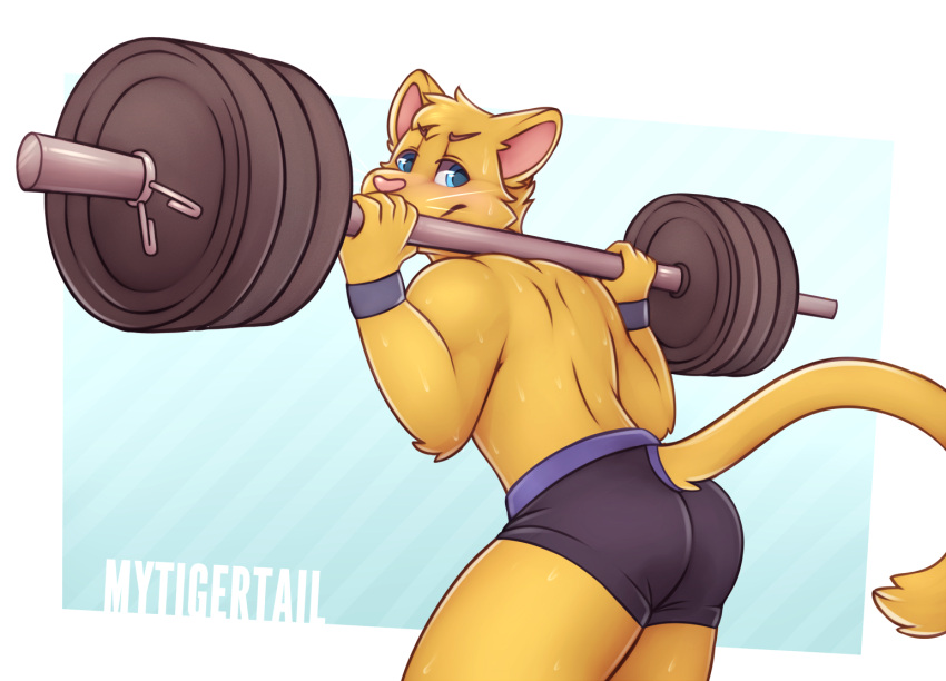 5_fingers anthro blue_eyes butt clothed clothing domestic_cat exercise felid feline felis fingers fur fur_tuft head_tuft male mammal mytigertail pink_nose solo tail takathekitty topless topless_anthro topless_male tuft underwear underwear_only weightlifting whiskers workout yellow_body yellow_fur