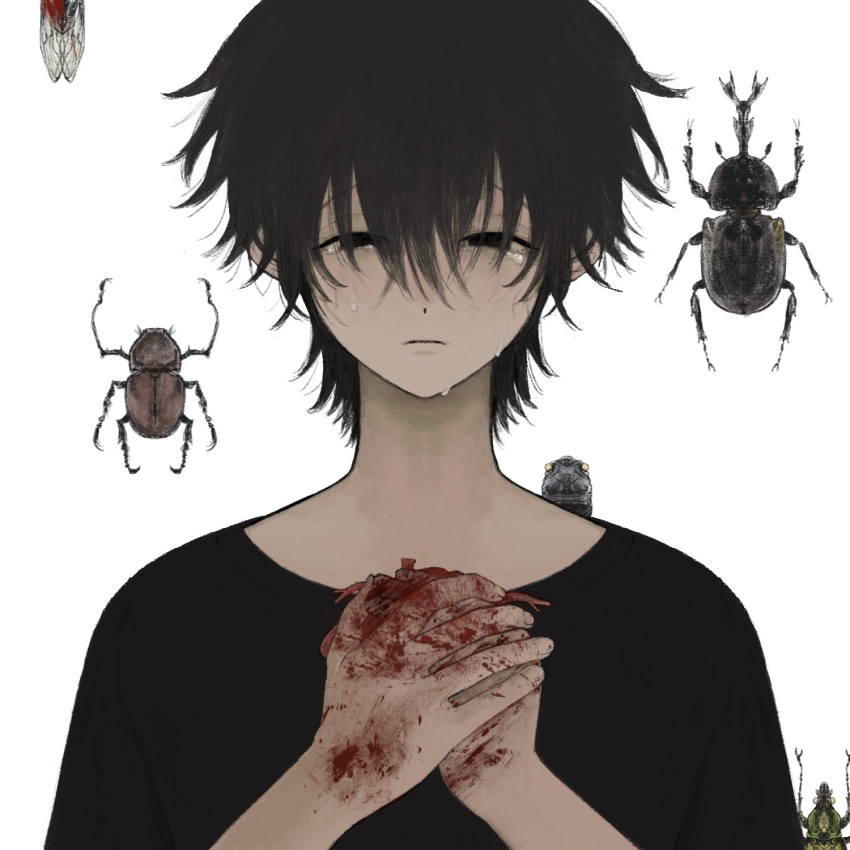 1boy beetle black_eyes black_hair black_shirt blood blood_on_hands bug closed_mouth hair_between_eyes hands_up highres male_focus original shirt short_hair solo tears white_background yuzhoupiaofu