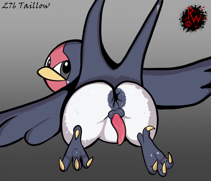 animal_genitalia anus avian backsack balls beak bird butt digital_media_(artwork) erection feathers feet feral generation_3_pokemon genitals hi_res looking_at_viewer looking_back male nintendo penis pokemon pokemon_(species) presenting puffy_anus rapistwerewolf rear_view simple_background small_balls soles solo taillow wings