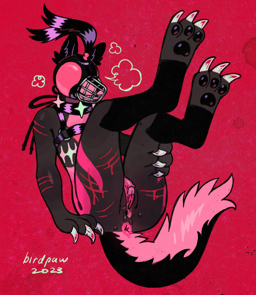 2023 3_fingers 3_toes andromorph anthro anus arm_scar artist_name birdpaw_(artist) black_body black_ears black_fur black_harness black_pawpads black_tail blindfold blood bodily_fluids breath canid canine claws clitoris digital_media_(artwork) ear_tuft enlarged_clitoris falconry_hood feet fingers full-length_portrait fur genitals glistening glistening_pawpads grey_body grey_fur hand_on_leg hand_on_own_leg harness hi_res hood intersex leg_scar legs_up mammal mastectomy_scar multicolored_body multicolored_fur muzzle_(object) muzzled pawpads pink_anus pink_body pink_fur pink_pussy pink_tail portrait pussy red_background scar simple_background solo tail tail_tuft three-quarter_view toes trans_(lore) trans_man_(lore) tuft two_tone_body two_tone_fur two_tone_tail wounded