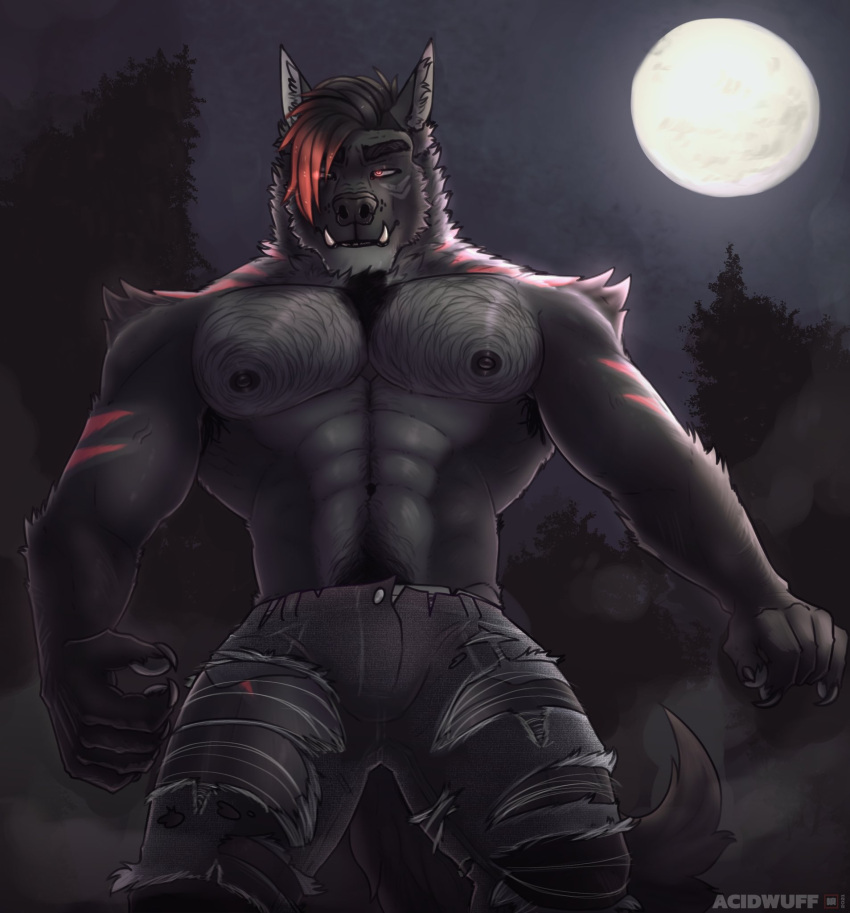 abs acidwuff anthro arm_tuft artist_name black_body black_fur black_hair black_nipples body_hair bottomwear canid cheek_tuft chest_hair clothed clothing facial_tuft front_view fur grey_body grey_bottomwear grey_clothing grey_fur grey_pants hair happy_trail hi_res looking_at_viewer male mammal moon multicolored_hair muscular muscular_anthro muscular_male neck_tuft night nipples outside pants pecs portrait red_eyes red_hair shoulder_tuft solo standing three-quarter_portrait topless torn_bottomwear torn_clothing torn_pants tuft two_tone_hair
