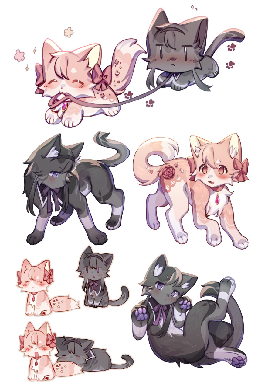 alternate_species domestic_cat duo felid feline felis female feral feralized furrification hi_res homura_akemi kemono kuro_chromium leash leash_in_mouth madoka_kaname mahou_shoujo_madoka_magica mammal object_in_mouth puella_magi