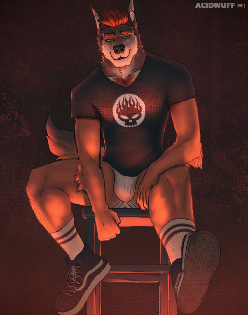acidwuff anthro arm_tuft black_clothing black_nose black_shirt black_t-shirt black_topwear blue_eyes canid cheek_tuft closed_smile clothed clothing elbow_tuft facial_tuft front_view fur hair hi_res jockstrap male mammal mouth_closed neck_tuft orange_body orange_fur red_hair shirt short_hair sitting smile solo t-shirt topwear tuft underwear white_clothing white_jockstrap white_underwear