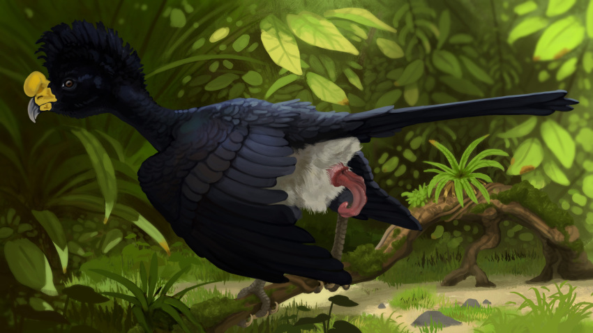 animal_genitalia avian bird cloaca feral forest genitals greater_curassow hi_res invalid_tag painting penis plant solo technesaurus tree