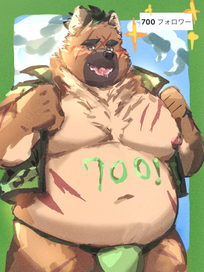 2023 absurd_res anthro belly big_belly bulge canid canine canis clothed clothing domestic_dog hi_res humanoid_hands kemono lifewonders male mammal moobs nipples okentya open_clothing open_shirt open_topwear overweight overweight_male scar shirt solo tokyo_afterschool_summoners topwear underwear yasuyori