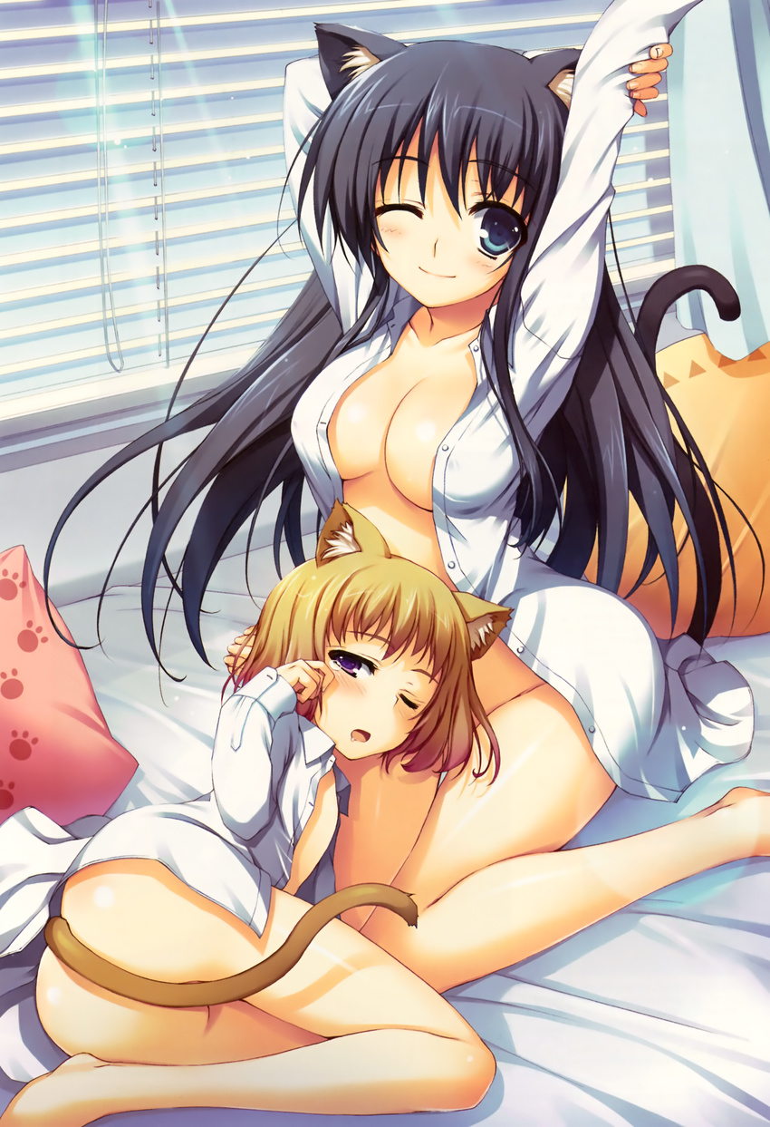 absurdres animal_ears arms_up ass black_hair blue_eyes breasts brown_hair cat_ears cat_tail cleavage highres lap_pillow large_breasts lens_flare long_hair megami megami_creators multiple_girls naked_shirt no_bra no_pants one_eye_closed open_clothes open_shirt original paw_print pillow purple_eyes scan shirt short_hair small_breasts smile sunlight tail tomose_shunsaku waking_up