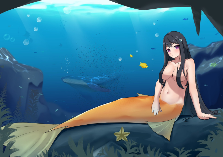 1girl artist_request black_hair breasts breasts_day collarbone commentary_request completely_nude fins fish hair_over_breasts highres humpback_whale izumi_umiko jewelry large_breasts long_hair mermaid monster_girl navel nude original purple_eyes ring second-party_source solo starfish underwater very_long_hair wedding_ring whale