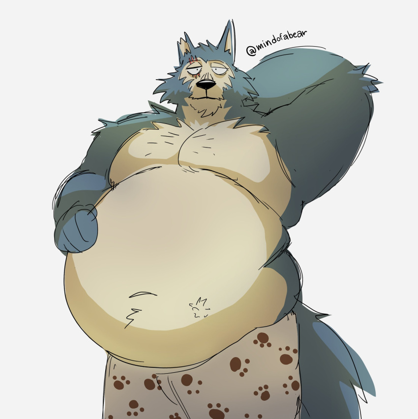 anthro beastars belly big_belly black_nose blue_body blue_fur canid canine canis clothing cream_belly eye_scar facial_scar fluffy fur hand_behind_head hand_on_stomach hands_on_belly hi_res legoshi_(beastars) looking_at_viewer male mammal mindof navel notched_ear overweight overweight_anthro overweight_male pawprint_print pecs print_clothing print_underwear scar simple_background solo underwear white_background wolf